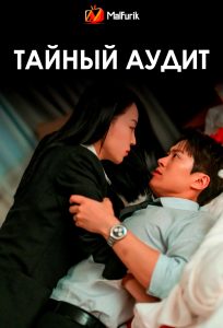Тайный аудит